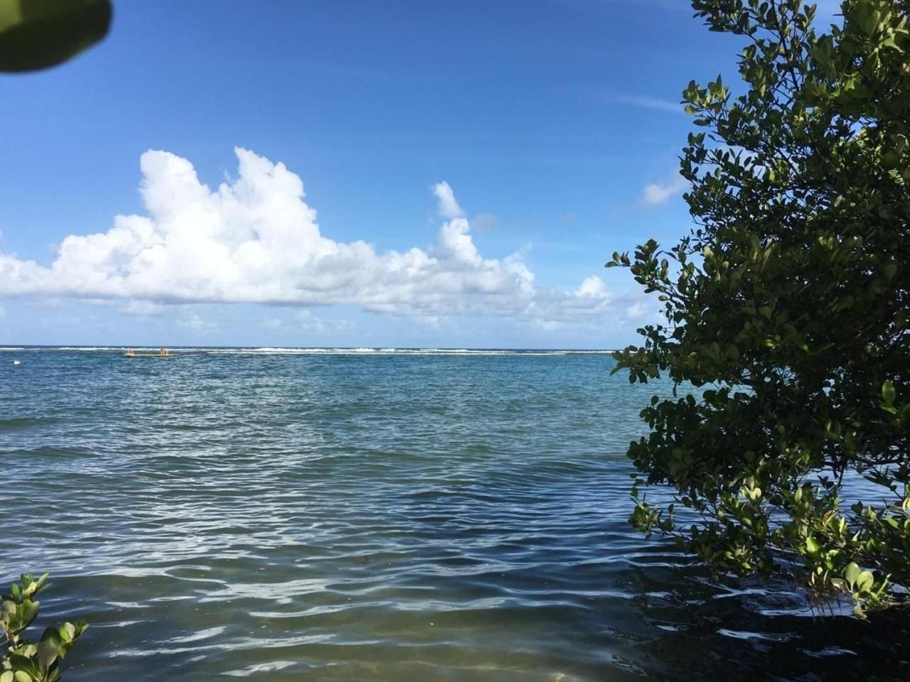 Polinesia Resort - Porto De Galinhas - Apartamentos Com Somente 1 Opcao De Terreo Com Piscina Privativa - Acesso Ao Hotel Samoa Exteriör bild