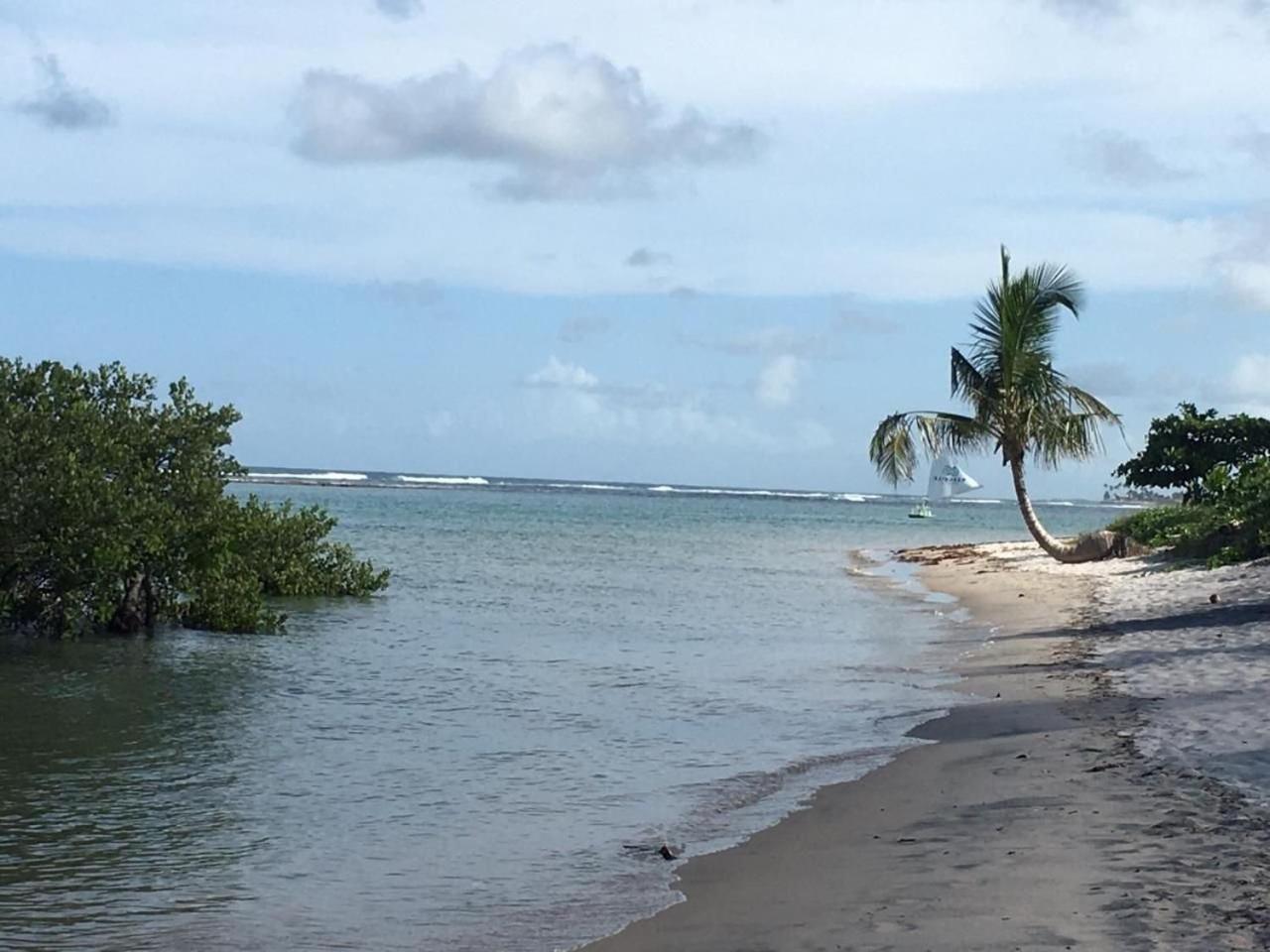 Polinesia Resort - Porto De Galinhas - Apartamentos Com Somente 1 Opcao De Terreo Com Piscina Privativa - Acesso Ao Hotel Samoa Exteriör bild