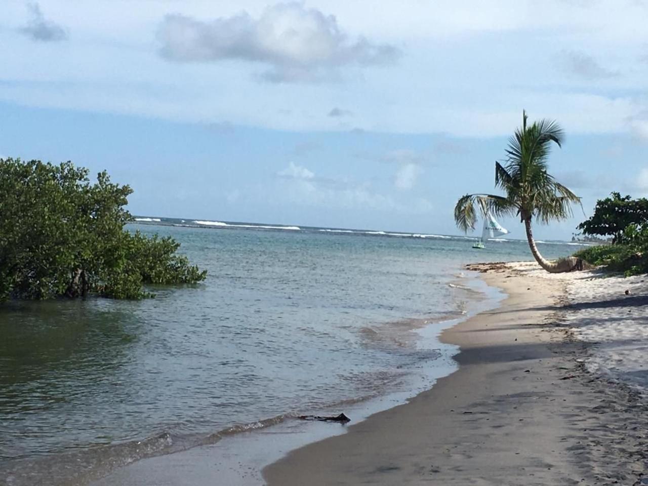 Polinesia Resort - Porto De Galinhas - Apartamentos Com Somente 1 Opcao De Terreo Com Piscina Privativa - Acesso Ao Hotel Samoa Exteriör bild